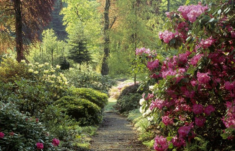 Colby Woodland Garden, United Kingdom